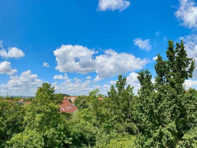 Exklusive 3 Zimmer Wohnung frisch saniert in Dresden Laubegast