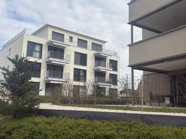 Exklusive 1½ Zimmer Wohnung modern & lichtdurchflutet