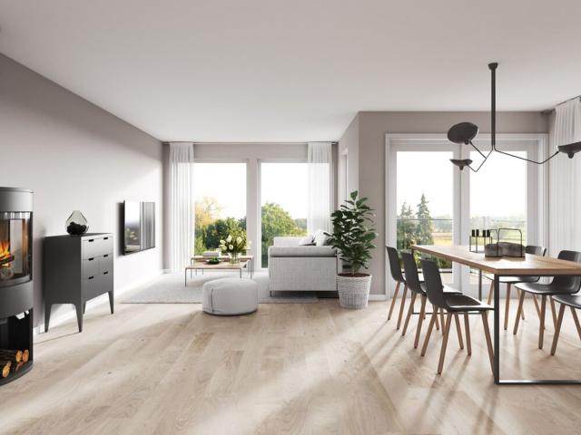 Exklusive 4 Zimmer Dachgeschosswohnung mit Dachterrasse in Gieshübl