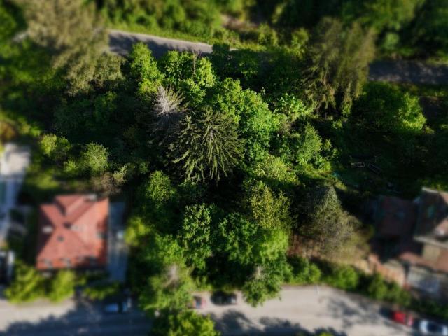 Exklusive Doppelhaushälfte in Grünruhelage der Sophienalpe Neubau Erstbezug mit Garten & Panoramablick