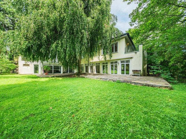 Exklusive Waldrand Villa mit Traumgrundstück in der Hinterbrühl