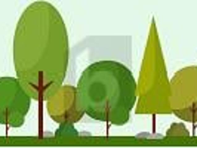 EXKLUSIVE UND RUHIGE LAGE ZUM BAUEN