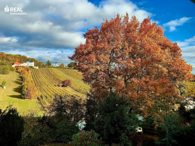 Exklusive Villa in den Weinbergen traumhafter Ausblick