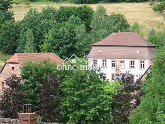 Historisches Hofgut/Bauernhof mit Wiesen und Wald