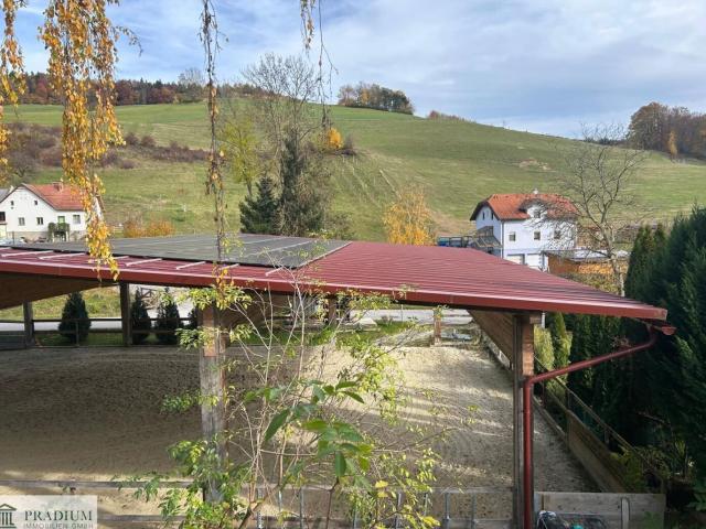 Exklusiver Pferdehof mit 2 Wohneinheiten, Reithalle & Großem Grund in Hochneukirchen