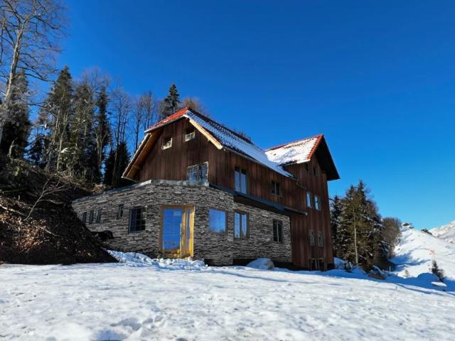 Exklusives Bergchalet Bergstüble Ski in, Ski out am Feldberg