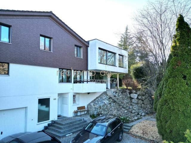 Grosszügiges, modernes & stilvolles Einfamilienhaus mit grossem Garten