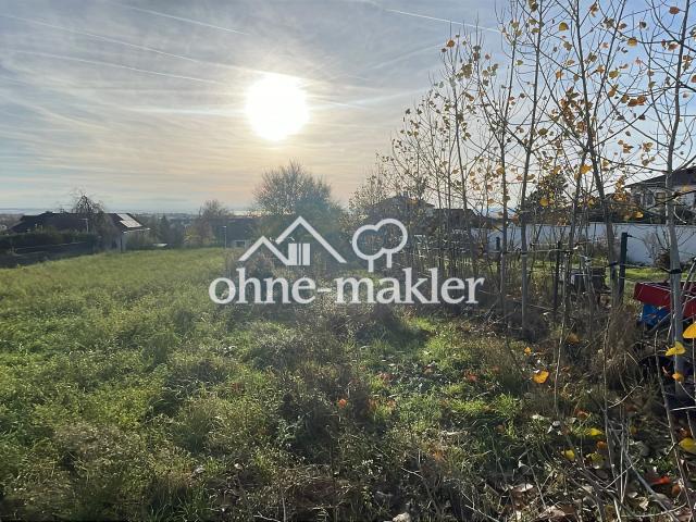 Exklusives erschlossenes Baugrundstück mit unverbaubarem Seeblick am Kirchberg in Neusiedl am See
