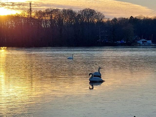 Exklusives Grundstück mit unverbaubarem Wasserblick an der Havel in Westausrichtung mit Stegoption