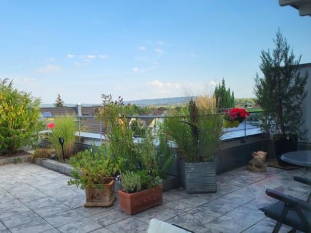 exklusives Reihenendhaus Pick&Up mit großer Dachterrasse in TOP Lage