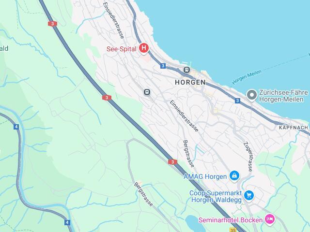Exklusives 6 Zimmer Haus in malerischem Horgen