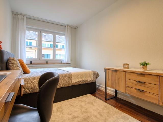 Experience Comfortable Coliving in Zürich's Aussersihl District