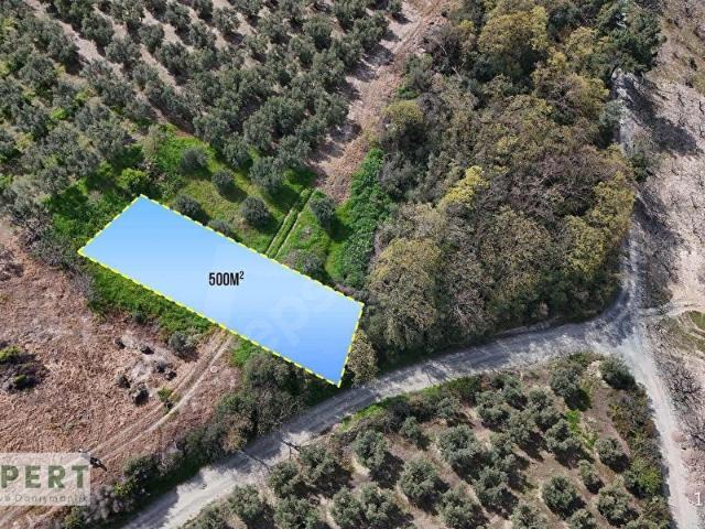 EXPERT'TEN MUDANYA YAYLACIKTA KÖYE KOMŞU 500 m SATILIK TARLA