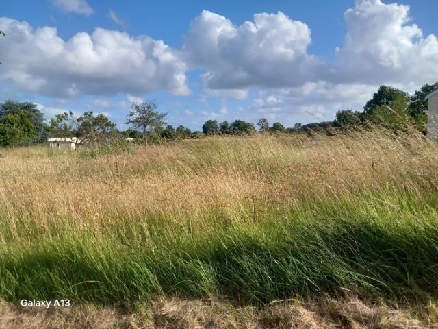 Expiremont Vente Terrain 17