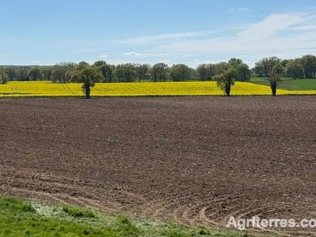 Exploitation céréalière de 546 ha à vendre Allier m² Saint Pourçain sur Sioule