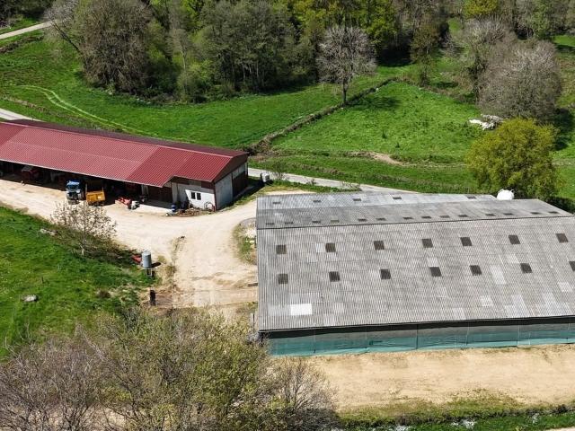 Exploitation élevage bovin allaitant 62 ha Puy de Dôme m² Saint Eloy les Mines