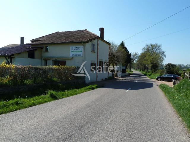 Exploitation Vente directe de produits laitiers 170m² Roanne