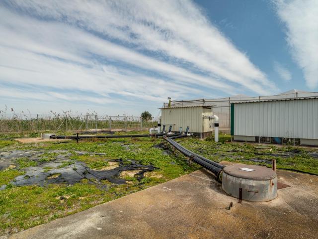 Explotación agrícola de regadío de 11ha en pleno rendimento: Infraestructura Completa y Maquinaria