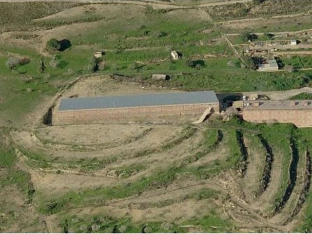 Explotación avícola en Cartagena Galifa con 3 ha, 3.920 m² construidos y capacidad hasta 45.000 po
