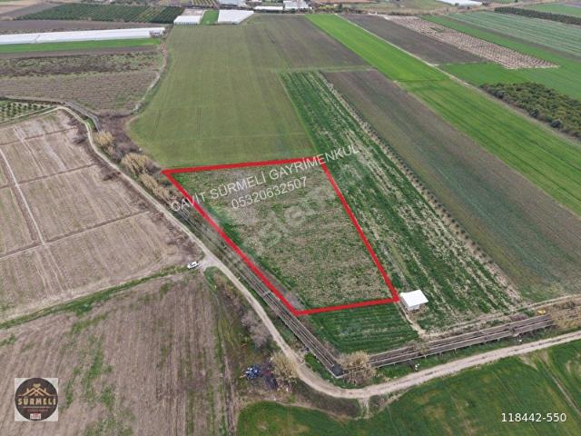 EXPO2016 SOLAK SATILIK TARLA 5536 M2