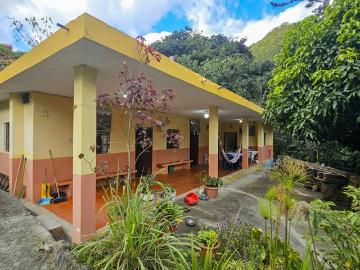 Exquisita Propiedad con Casa Principal y Casas de Huéspedes en Yamburara Alto