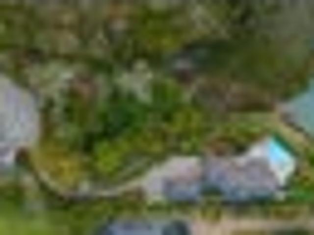 Exquisitely Private Hectare of Waterfront Estate