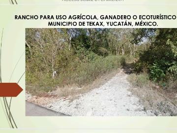 Extenso terreno al sur del Estado de Yucatán