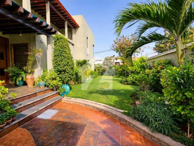 Extra Ordinary 800 SqYd House Available For Rent
