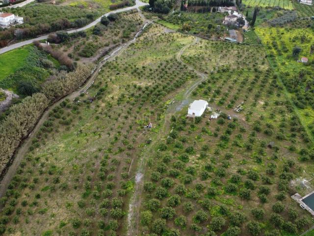 Extraordinaria Finca con vistas panorámicas en Álora. Más de 2000 árboles frutales y casita. Con electricidad y agua