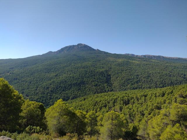 EXTRAORDINARIA FINCA RÚSTICA DE MÁS DE 81 HECTÁREAS EN MORATALLA MURCIA