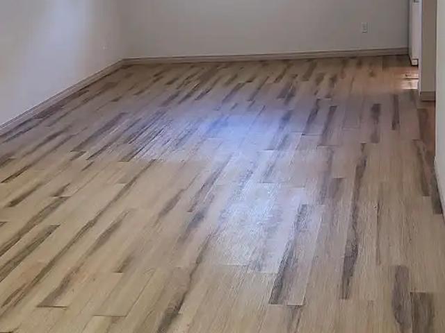 Extremely clean 1 bedroom basement suite in Lynnwood
