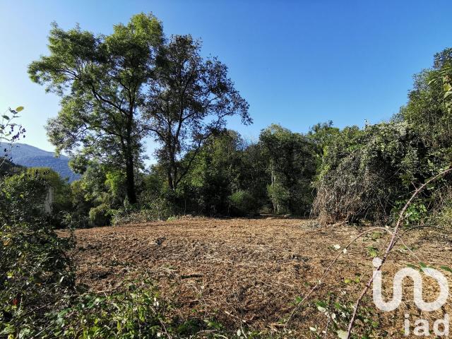 Eysus Vente Terrain 64