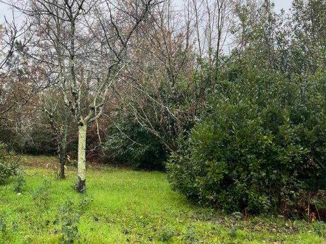 Eysines Vente Terrain 33