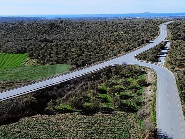 EzineGeyikli Arasında Değerli Konumda Yatırımlık Tarla
