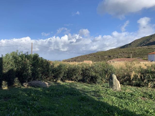 F3 COL SAN STEFANO OLMETA DI TUDA