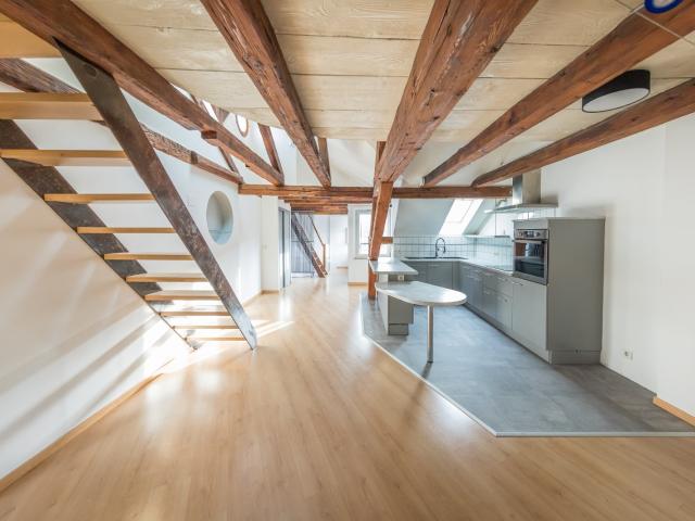 F2 DUPLEX CENTRE HISTORIQUE MULHOUSE