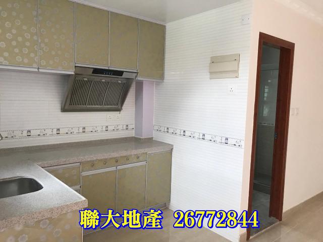 粉嶺村屋出租