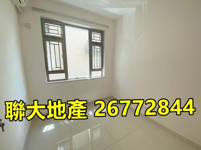 粉嶺龍躍頭村屋出租