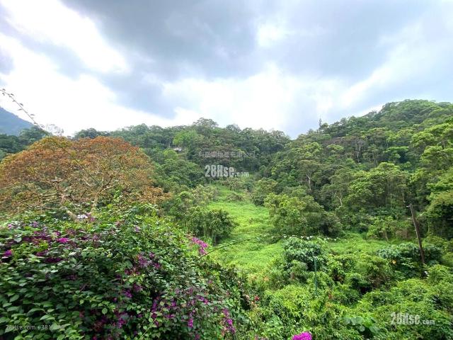 翡翠花園 #3816 售盤樓盤詳細資料
