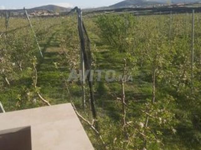 فيلا للبيع 300 m² في افران أطلس الصغير