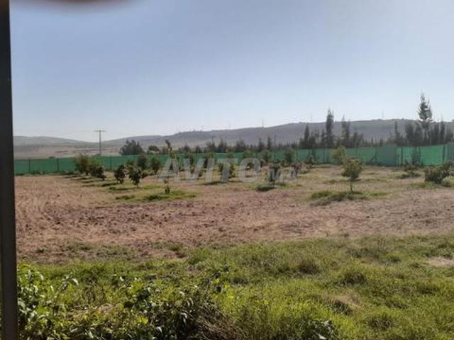 فيرمة صغيرة للبيع