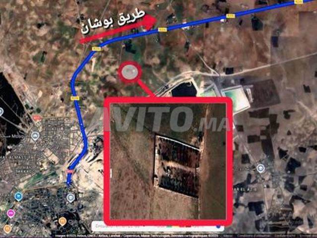 فيرمة صغيرة للبيع بها بئر و منزل و 100 شجرة