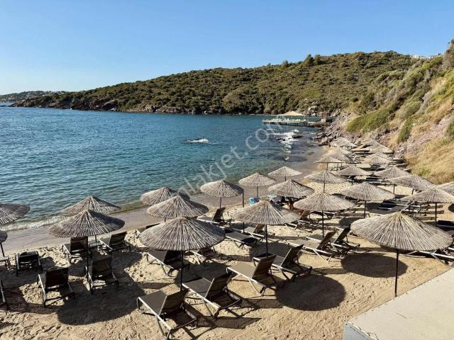 Fırsat! Bodrum Boğaziçi'nde Plajlı 2+1 Havuzlu Lüks Daire