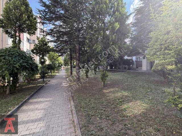 Fırsat Oğuzlar Mah. Site İçerisinde Cadde Üzeri Boş 3+1 Daire!