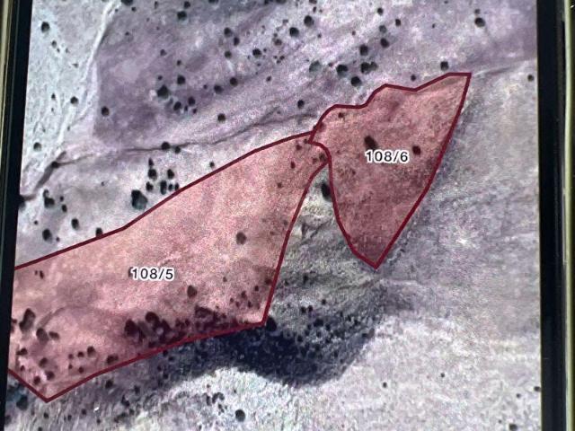 Fırsat tarla