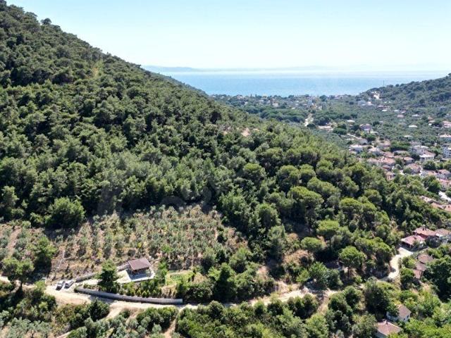 Fıstıklı'da Deniz Manzaralı Satılık Müstakil Ev ve Zeytinlik