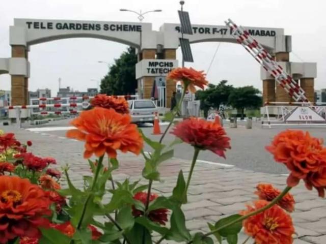 F. 17 Multi 30x60 plot for sale Islamabad F 17 ID 49788