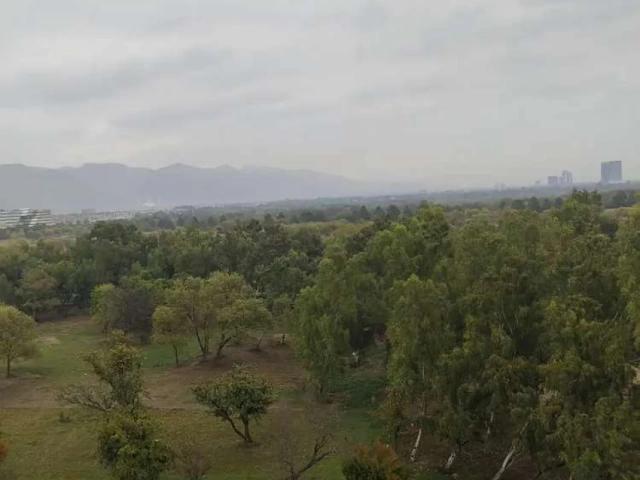 F 10 AL mustafa Tower apartments for rent Islamabad F 10 ID 60330