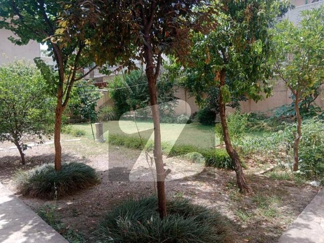 F 10/ 2 Kanal Renovated house available for Rent