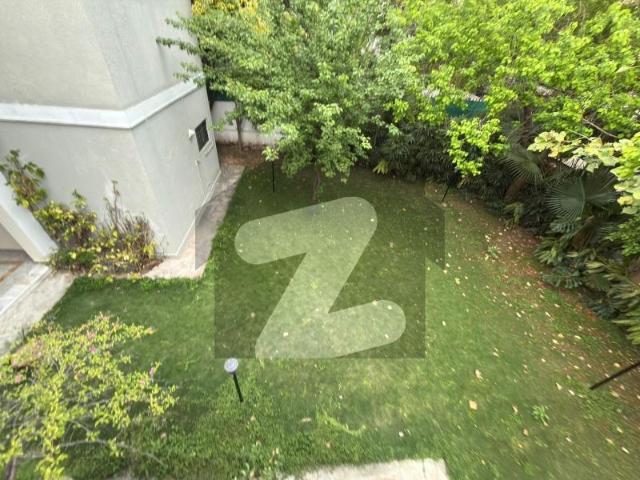 F 7/3 6bedroom Vip Location Fully Renovated Front Back lawn house Available For Rent F 7